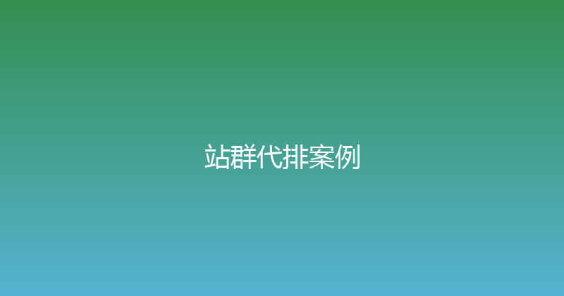 站群代排案例 封面图