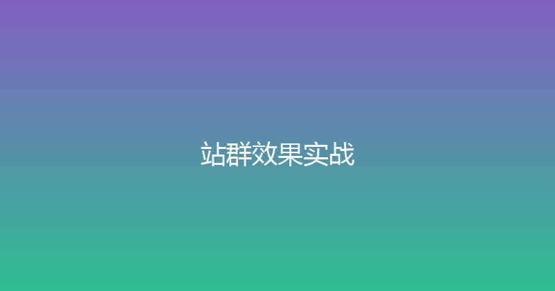 站群效果实战 封面图