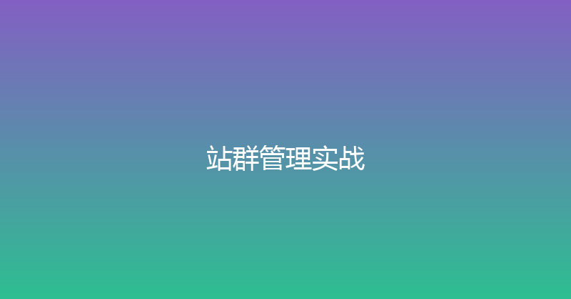 站群管理实战 封面图