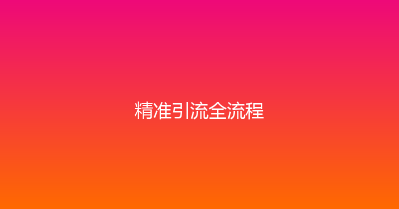 精准引流全流程 封面图