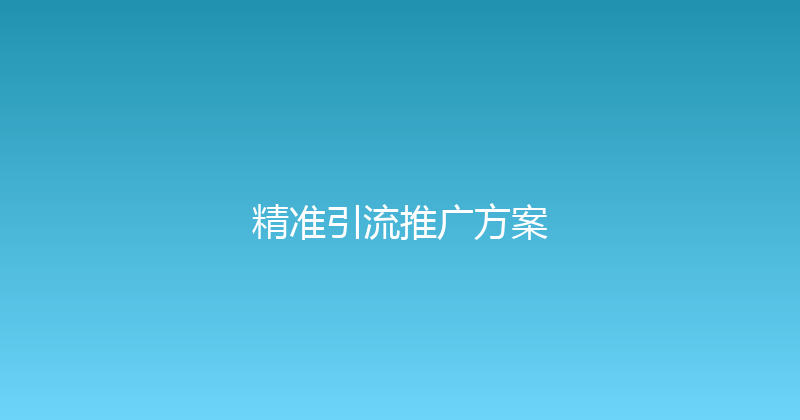精准引流推广方案 封面图