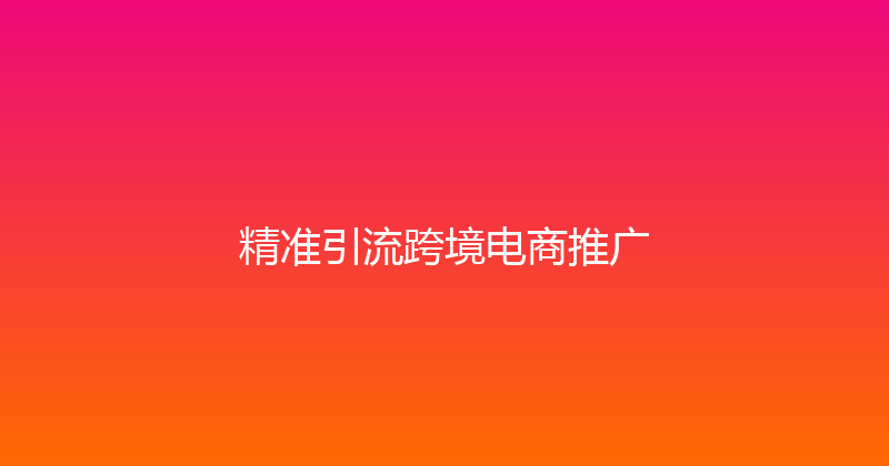 精准引流跨境电商推广 封面图